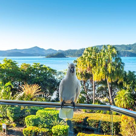 海滨澙湖山林小屋公寓 汉密尔顿岛 外观 照片